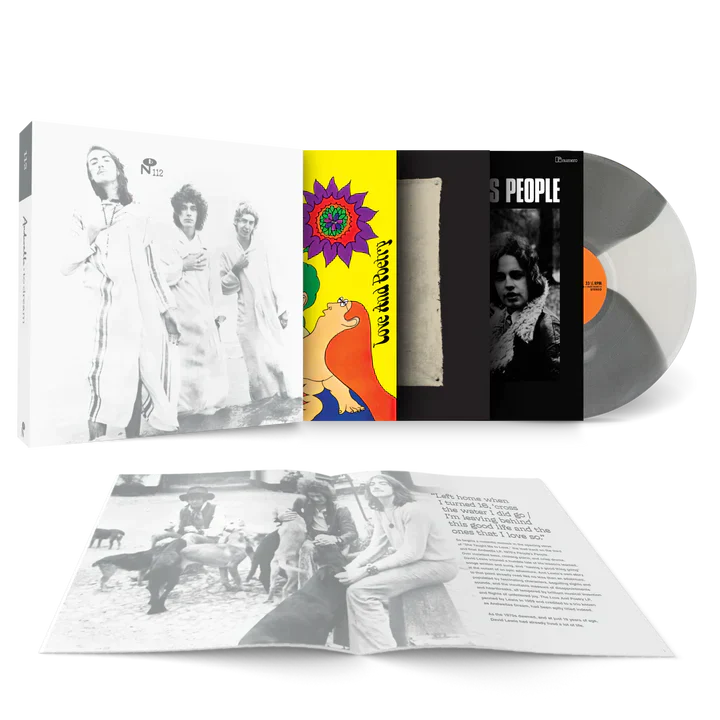 Andwella - To Dream (3LP Shades of Grey Vinyl) (New Vinyl) - Image 2