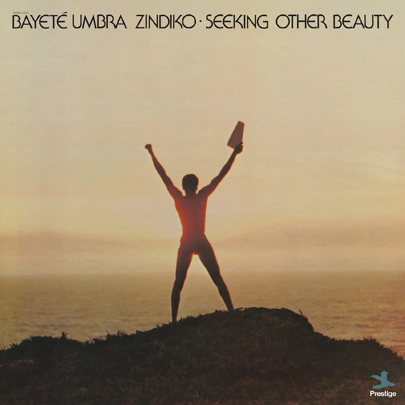 Bayet?? Umbra Zindiko - Seeking Other Beauty (All-Analog Series) (Plasma Vinyl) (New Vinyl)