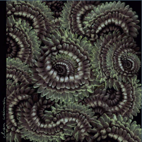 Clan Caiman - Pica-Pau (New Vinyl)