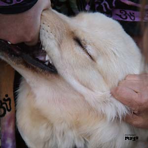 Fennesz & Jim O'Rourke – It's Hard For Me To Say I’m Sorry (New Vinyl)