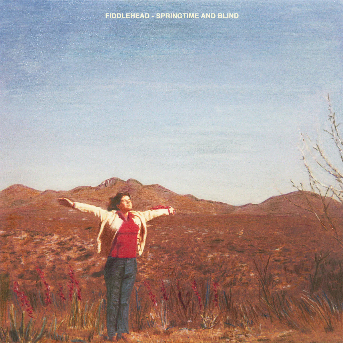 Fiddlehead - Springtime And Blind (Black Cherry Colour) (New Vinyl)