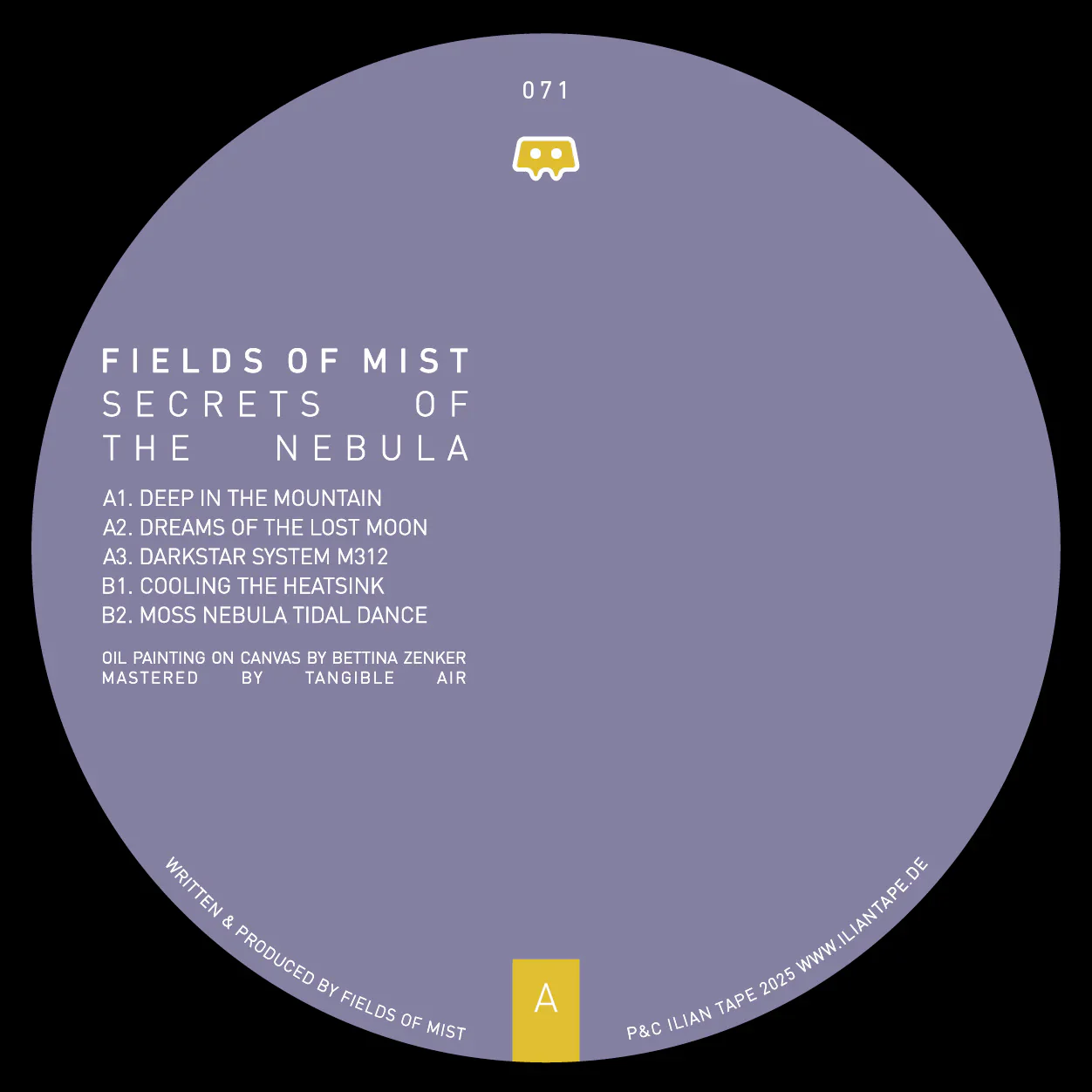 Fields Of Mist - Secret Of The Nebula (12") (New Vinyl)