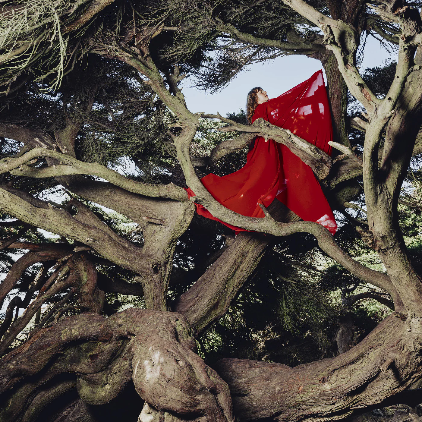 Hannah Frances - Nested In Tangles (Ruby Red Vinyl) (New Vinyl)