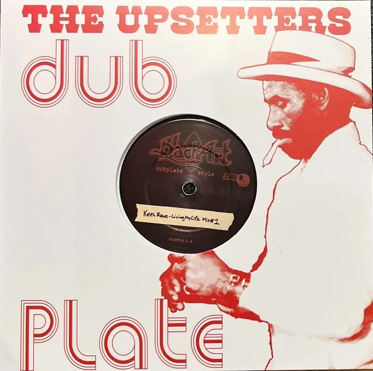 Keith Rowe - Living My Life: Dubplate Mixes 10" (New Vinyl)