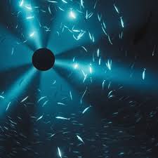 Laurel Halo - Midnight Zone (Film By Julian Charriere) - O.S.T. (New Vinyl)