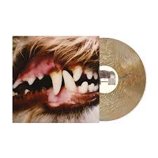 Lucius - Lucius (Gold Vinyl) (New Vinyl) - Image 2