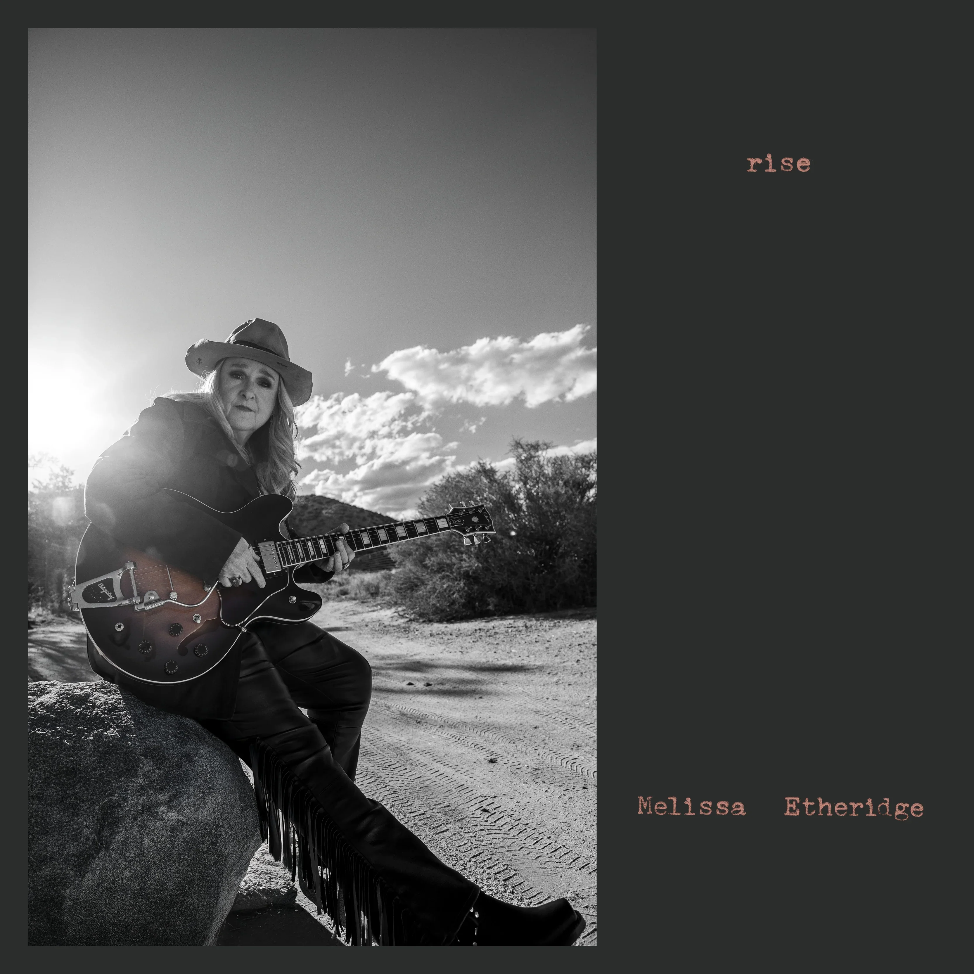 Melissa Etheridge - Rise (New CD)
