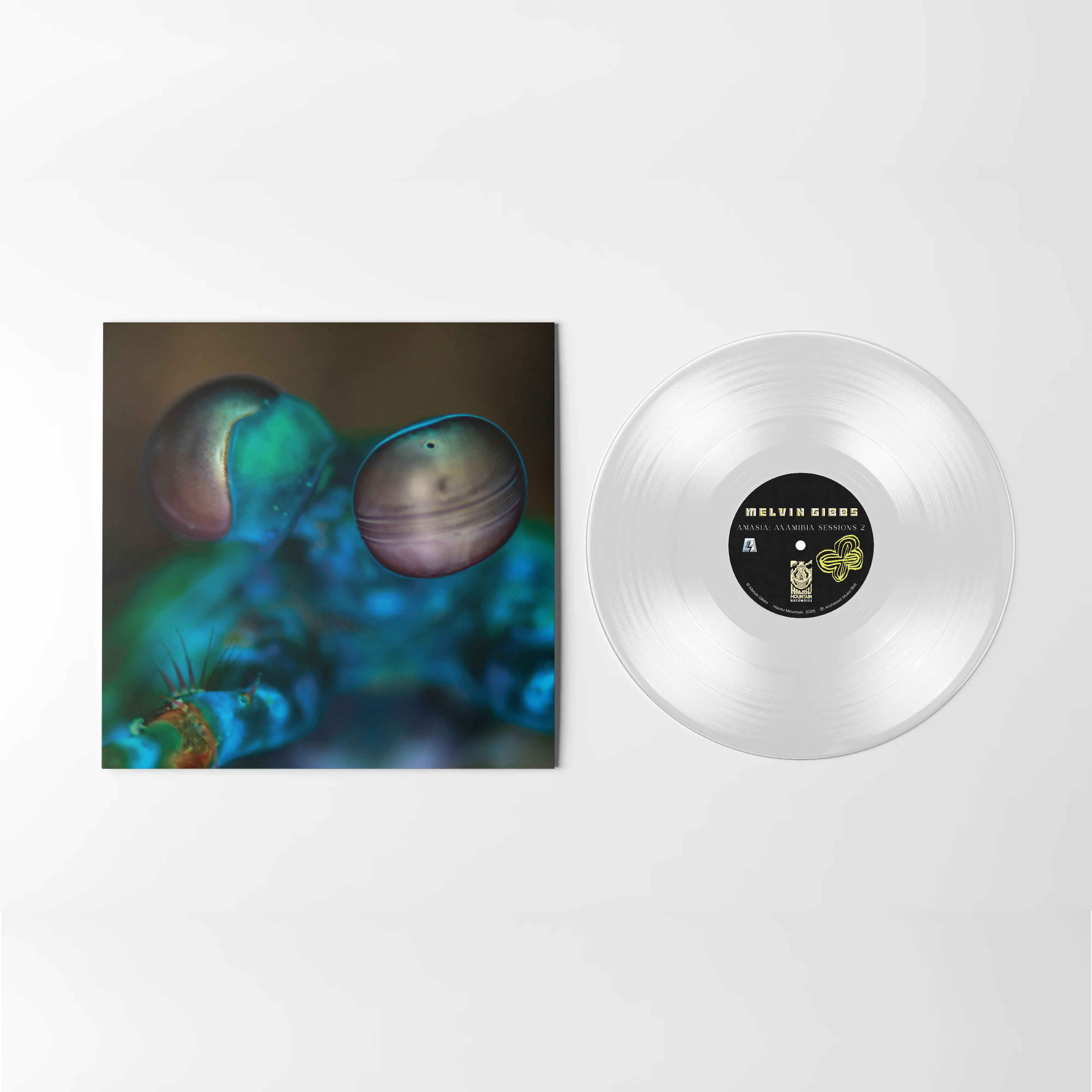 Melvin Gibbs - Amasia: Anamibia Sessions 2 (Crystal Clear Vinyl) (New Vinyl) - Image 2