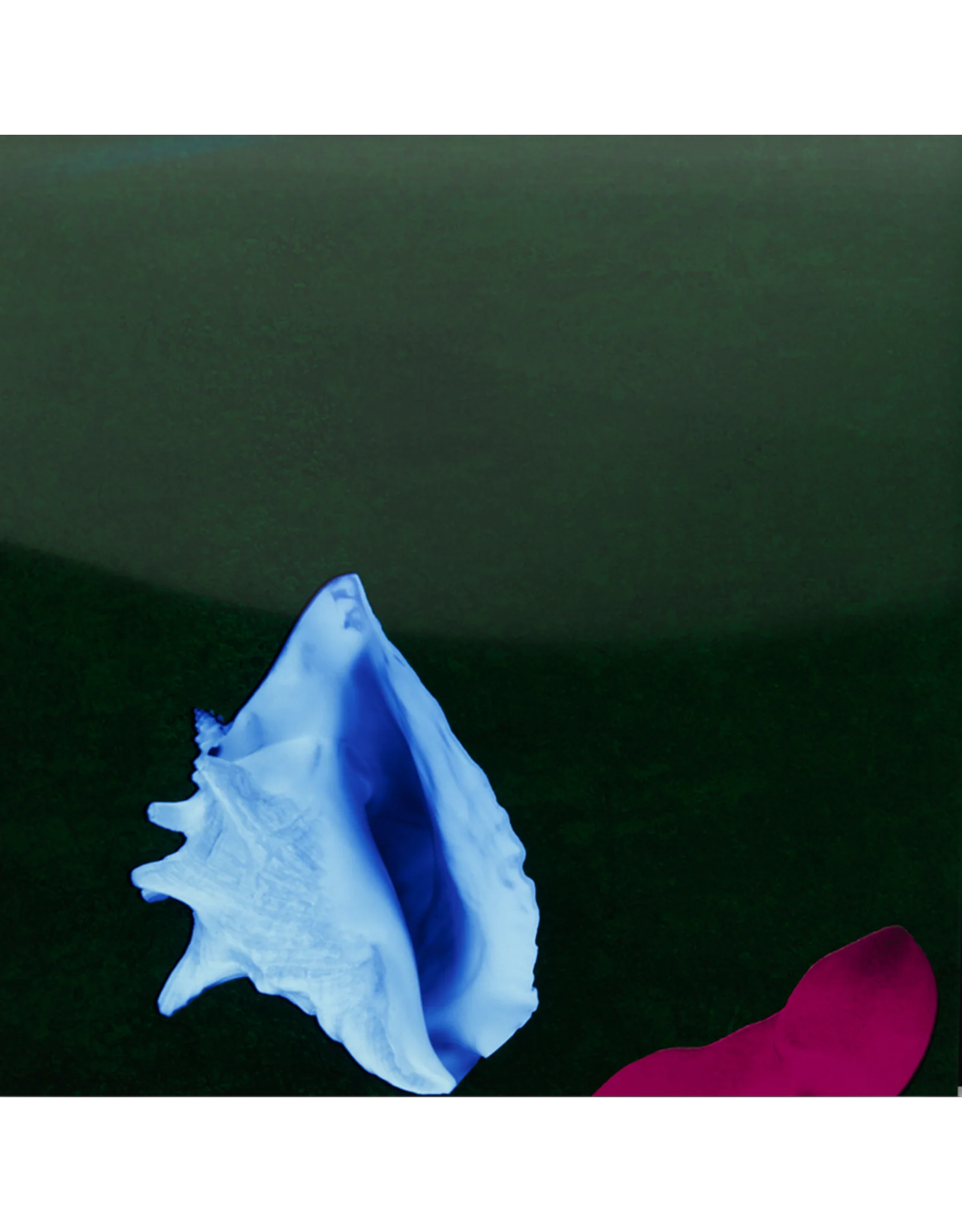 New Order - Touched By The Hand of God (Remastered 12") (New Vinyl)