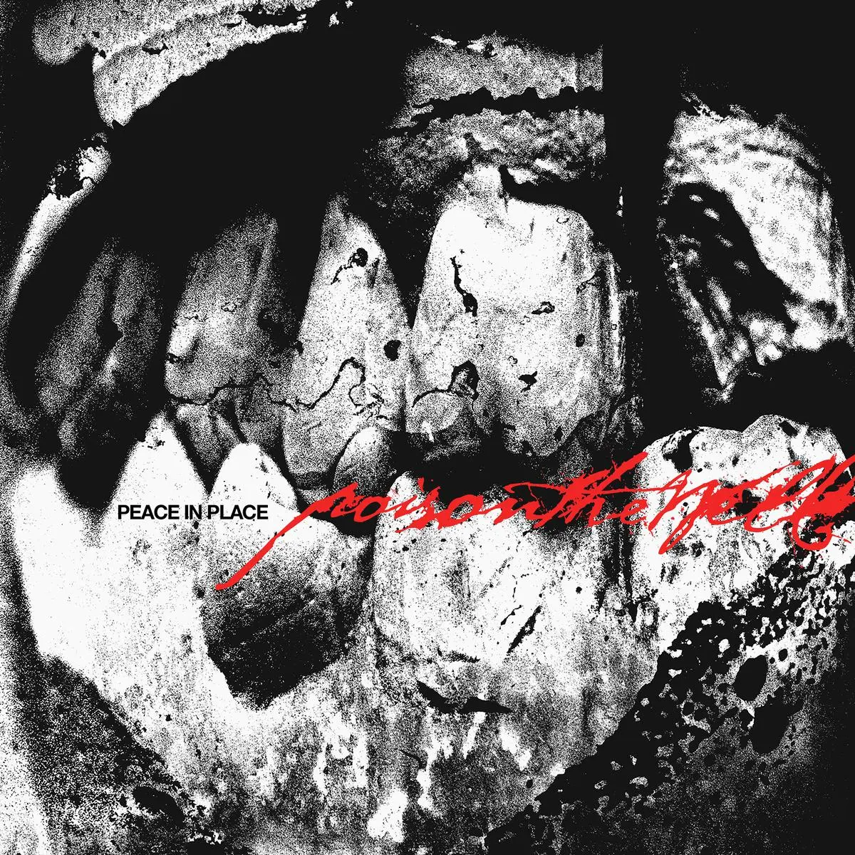 Poison The Well - Peace In Place (Ultra Clear Vinyl) (New Vinyl)