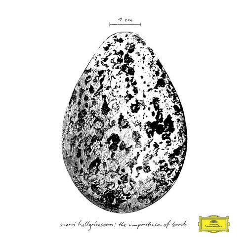 Snorri Hallgrimsson - The Importance Of Birds (New Vinyl)