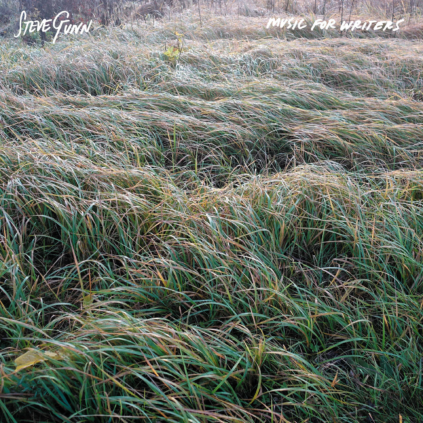 Steve Gunn - Music For Writers (Opaque Orange Vinyl) (New Vinyl)