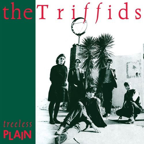 The Triffids - Treeless Plain (40th Anniversary Ltd. Edition White) (New Vinyl)