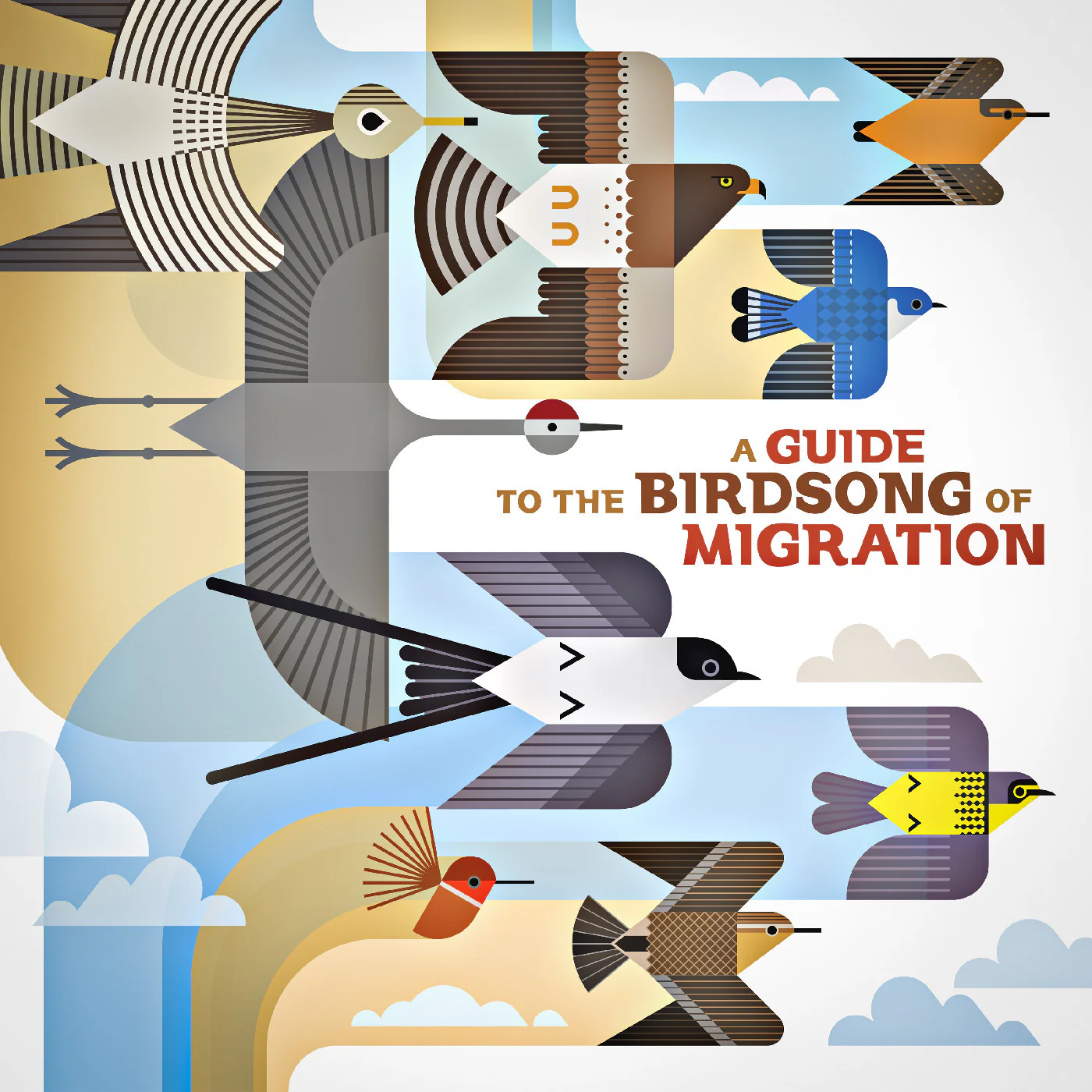 Various Artists - A Guide To The Birdsong Of Migration (New Vinyl)