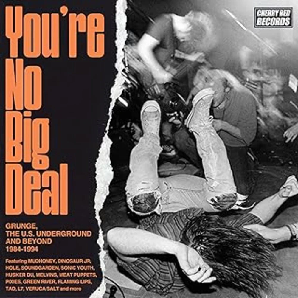 Various Artists - You're No Big Deal: Grunge, The Us Underground And Beyond (4CD) (New CD)