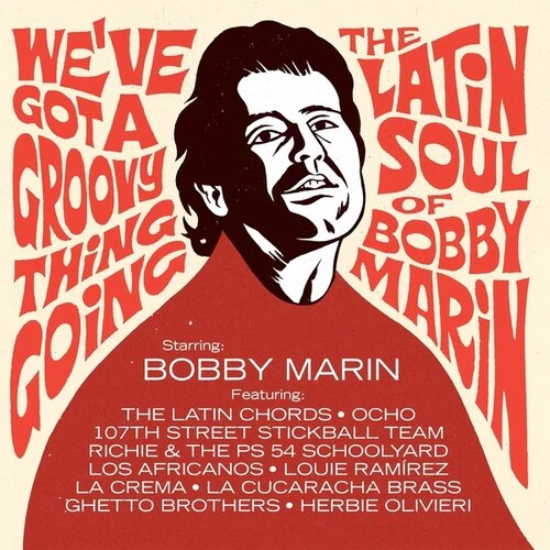 Various - We've Got a Groovy Thing Going: The Latin Soul (New Vinyl)